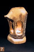 Ahorn, 20 cm hoch, Eur 20