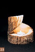 Ulme, 11 cm hoch, Eur 8